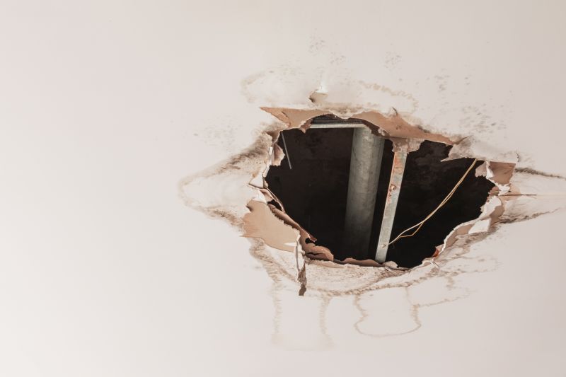 Ceiling Hole Repair in Conroe, TX